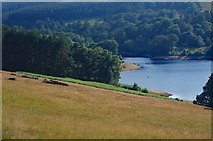 SK0174 : Errwood Reservoir by Jim Osley