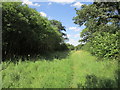 Bridleway to Harley Way