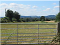 View towards the Abberley Hill from Lineholt Lane