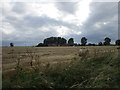 Harvested field and Grange Farm