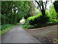 Country road at Coppice Gate