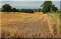 Harvested field, Cockshutt