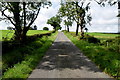 Tree shadows along Carryglass Road