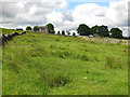 Rough pastures between Field Head and High Stone Carrs