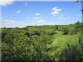 Fermyn Woods Country Park