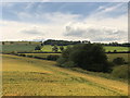 NU1035 : Farmland near Middleton by David Robinson