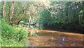 River Monnow near Rockfield