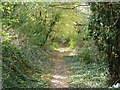 Public footpath towards Southfleet Road