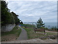 Path at Luccombe