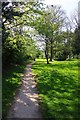 Footpath in Bewdley Hill Wood, Bewdley Hill, Kidderminster, Worcs