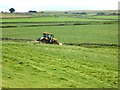 Turning the hay near Wintertarn Farm