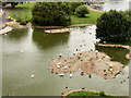 SO7204 : Slimbridge Wetland Centre : Swan Lake by David Dixon