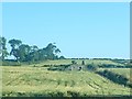 Ruined cottage overlooking the B8 at Cabra