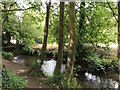 Nailsworth Stream