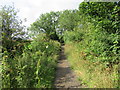 Railway line at Burniston