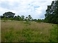 Barn Meadow