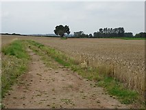 SO8544 : Bridleway through farmland by Philip Halling