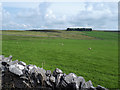 Grazing land east of Gilts Lane