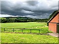 Playing Fields, Dillichip park