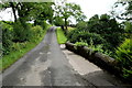 Small bridge along Tattysallagh Road, Cornavarrow