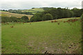 Countryside near Bowdley