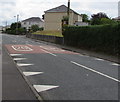 Crocodile teeth on Sycamore Avenue, Tredegar