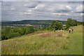 Coombe Hill : downward path