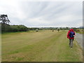 Welsh Coast Path through Abersoch Golf Course