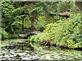 SJ7481 : Tatton Park Japanese Garden, the Almond Eye Bridge by David Dixon