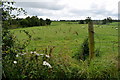 Bracky Townland