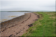 ND4799 : The northern coast of Glimps Holm by Bill Boaden