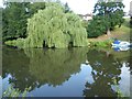 Reflections in the River Medway