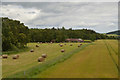 NH6352 : Farmland near Munlochy, Black Isle by Andrew Tryon