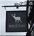 Sign for the White Hart, Shifnal