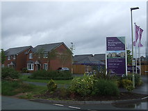 SJ7408 : New houses, Garland Place, Shifnal by JThomas