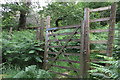 Gate on the bridleway to Nardle Farm