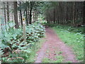 SU8925 : Serpent Trail near Henley by Chris Wimbush