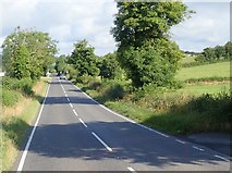 H9926 : Straight stretch of the A25 on the approach to the village of Belleek by Eric Jones