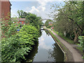 Montgomery Canal, Welshpool