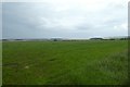 NU1234 : Fields near Easington by DS Pugh