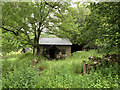 Hut in the woods, Llanyblodwel