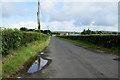 Puddles along Crew Road