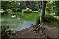 Shanklin: Big Mead Pond