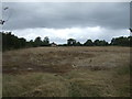 Stubble field, Lapley