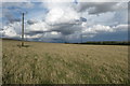 Powerlines over the pasture