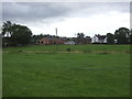 Grazing towards Rickerscote Hall Farm