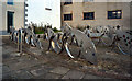 Bike rack, Millennium Promenade, Whitehaven