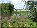 Old Shifford Farm from south of the Thames