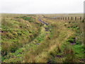 NT8201 : Tank Range, Bushman's Road, Otterburn Ranges by Andrew Curtis