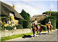 Race Horses, Kingston Lisle, Oxfordshire  2002